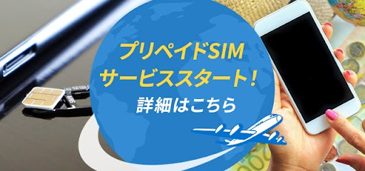 plastic_SIM-sp.jpg