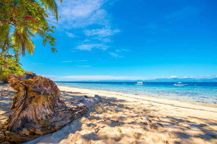 JAL航空券無料特典：フィリピン - 無制限/11~15日間